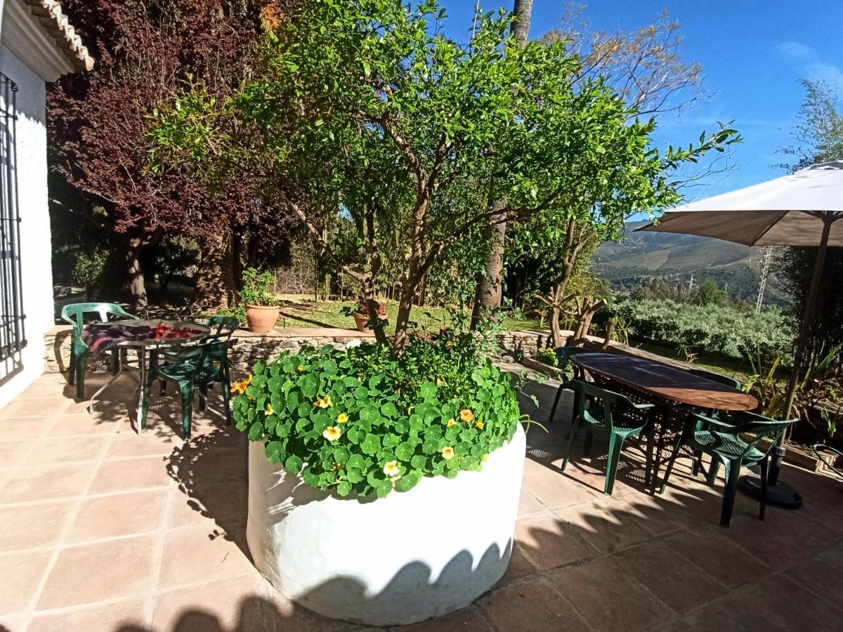 Oasis De Frescura En Verano Pousada
