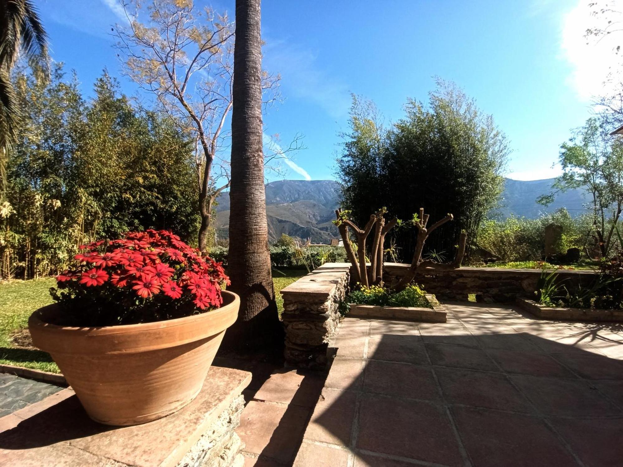Oasis De Frescura En Verano Pousada
