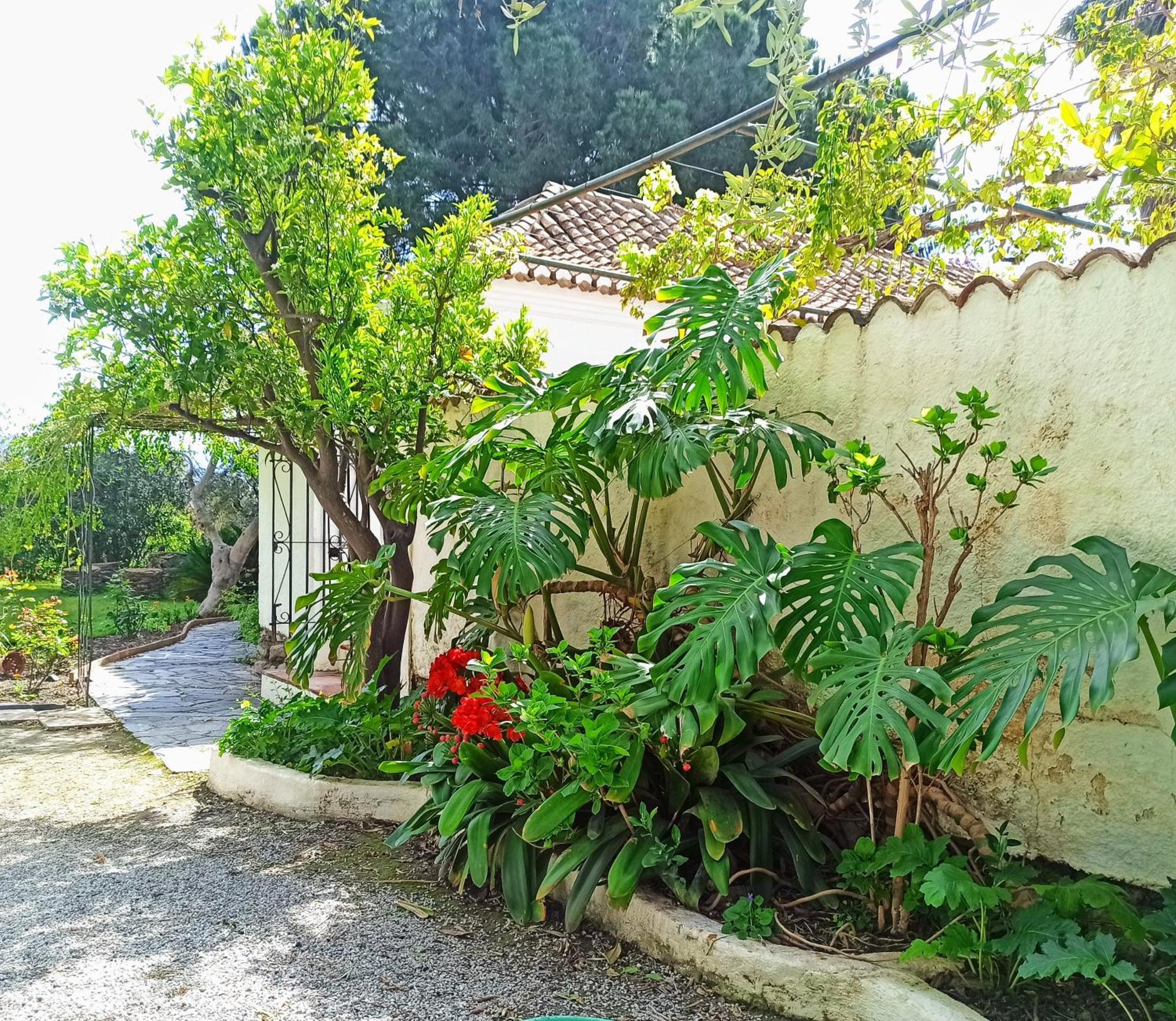 Pousada Oasis De Frescura En Verano Granada