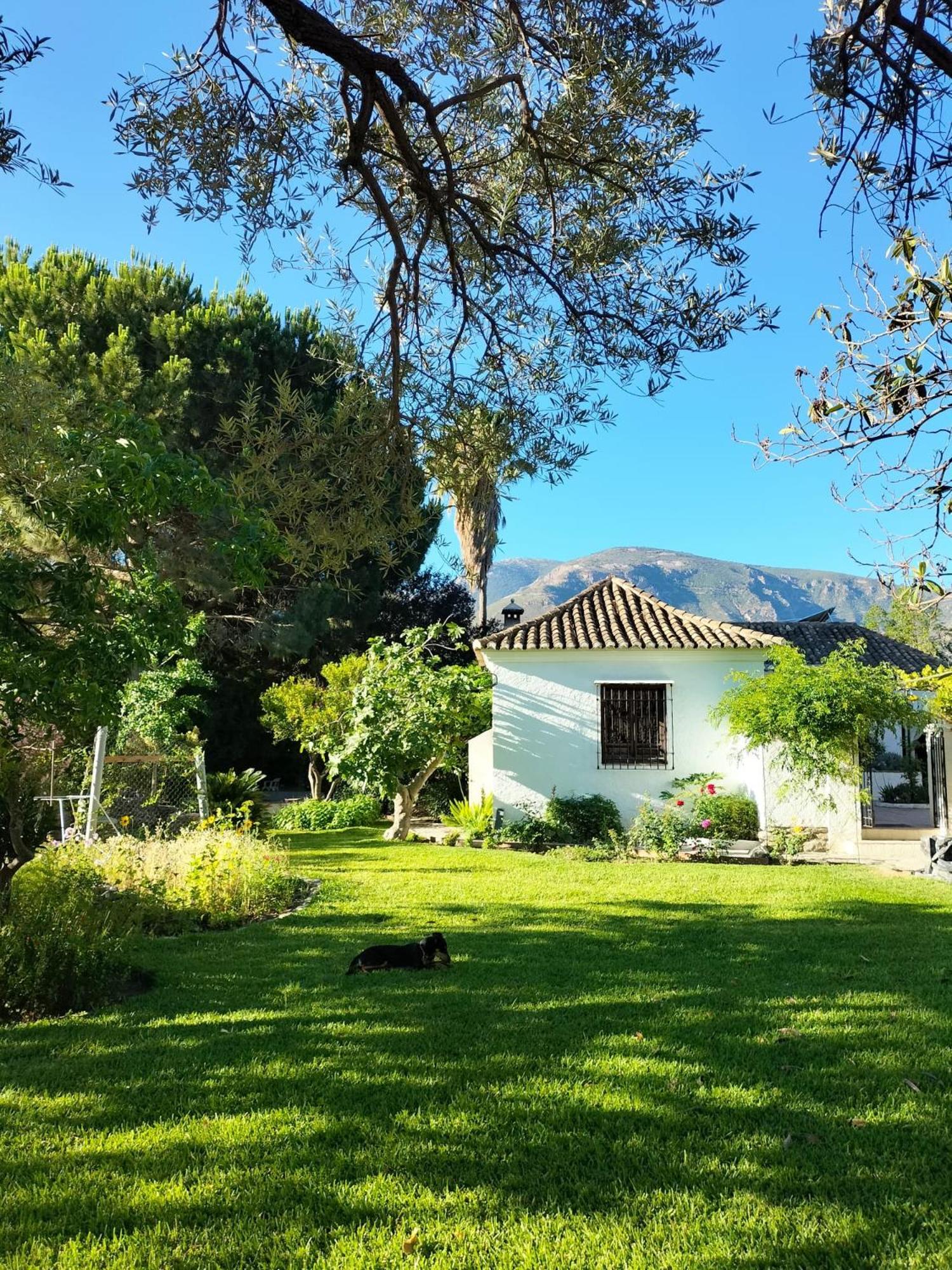 Pousada Oasis De Frescura En Verano Granada